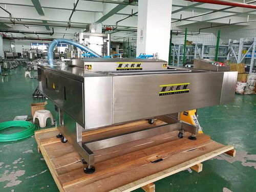 真空食品包裝機 全自動連續式食品真空包裝機 星火機械設備